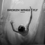 Broken wings fly