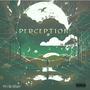 PERCEPTION (Explicit)