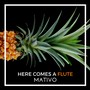 Here Comes A Flute (Radio Edit)