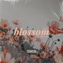 BLOSSOM