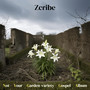 Not Your Garden Variety Gospel Album