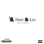 NIGGAS HATE HOES LUV (Explicit)