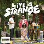 Live is Strange, Vol. 2