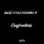 Are You Down ? (Explicit)