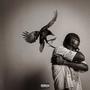RECOVERY (Explicit)