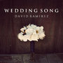 Wedding Song (feat. Rick Ortega, Nick Green & David Ottestad) - Single
