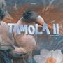 TAMOLA II (winter edition)