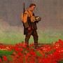 Tales From Flanders Fields