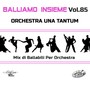 Balliamo insieme, Vol. 85 (Mix di ballabili per orchestre)