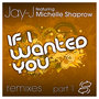 If I Wanted You Remixes, pt 1