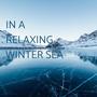 In a relaxing winter sea