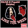 LIKE THE ** (Explicit)