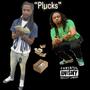 Plucks (feat. HoodoWTO) [Explicit]