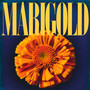 Marigold