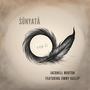 Sunyata (feat. Jimmy Haslip)