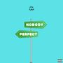 Nobody Perfect