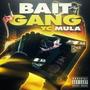 Bait gang (Explicit)