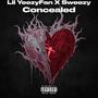 Concealed (feat. Sweezy) [Explicit]