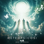 Metempsicosi