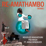 Re-Amathambo (Remixes)