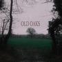 Old Oaks (Acoustic)