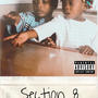 Section 8 (Explicit)