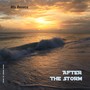 After the Storm