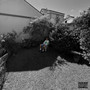 CASABLANCA (Explicit)