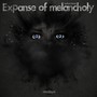 Expanse of Melancholy