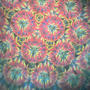 Kaleidoscope dreaming