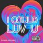 I Could Luv You (Explicit)