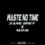 Waste No Time (Explicit)