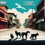 Strays (Explicit)