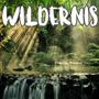 Wildernis