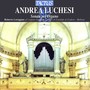 LUCCHESI, A.: Organ Sonatas (Loreggian)