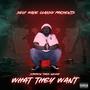 What They Want (Prod. by Die Naum Production) [Explicit]