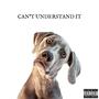 Can't Understand It (Explicit)