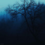 The Ink of Night