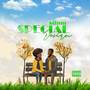 Special Design (Explicit)