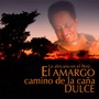 Lo Africano en el Perú: El Amargo Camino de la Caña Dulce