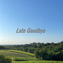 Late Goodbye