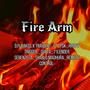 Fire Arm_Djy Rakgs_trajolic (Psk_happy trigger_Gupta_71 lender sebenzela_Thablo madhura)