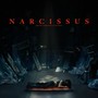 Narcissus