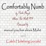 Comfortably Numb (feat. Caleb Holmberg)