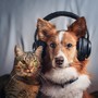 Pet Relaxation Rhythms: Calming Sounds for Companions