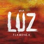 Una Luz Flamenca