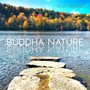 Buddha Nature