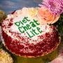 Diet Cheat Lite (Explicit)