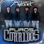 Puros Corridos (En vivo) [Explicit]