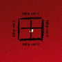 The Window